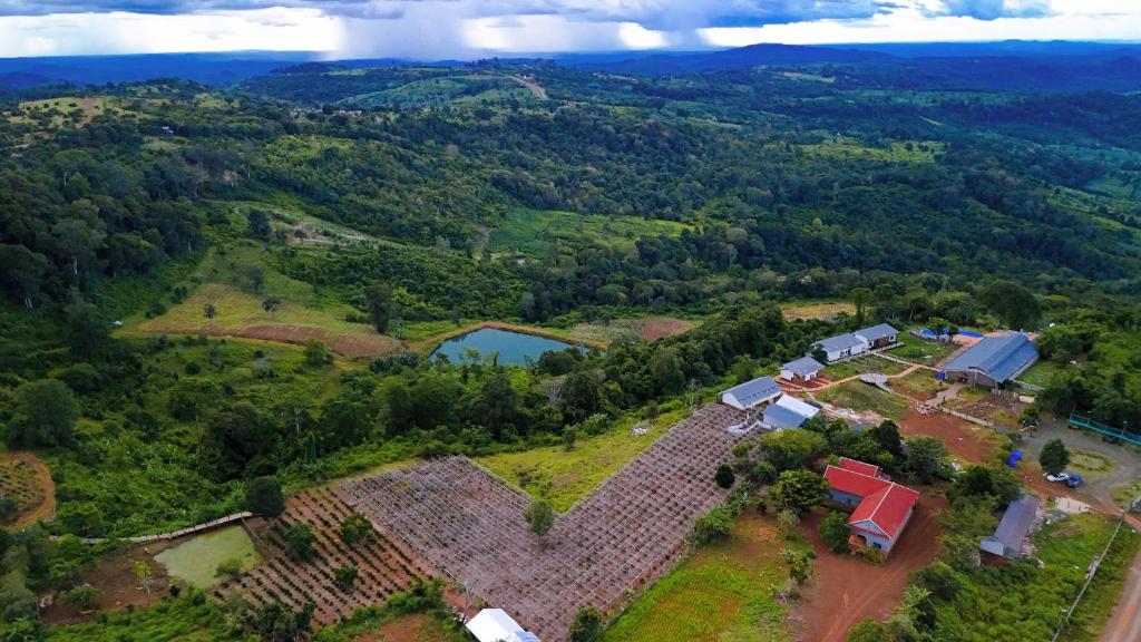 Pida Coffee Farm.jpg