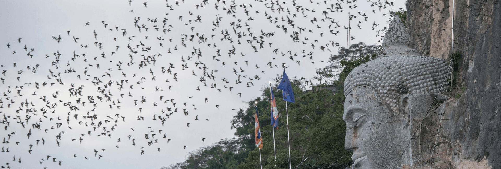 battambang Bat Cave.png