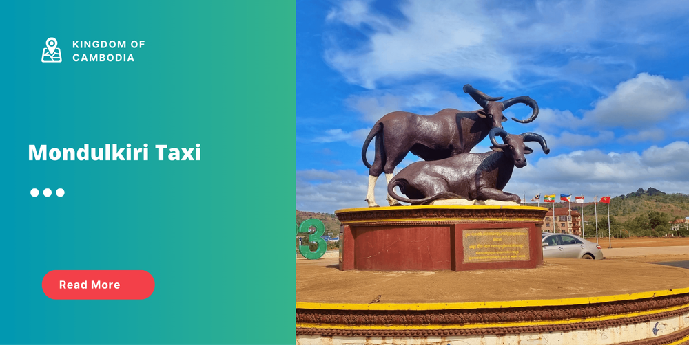 large_Mondulkiri Taxi.png